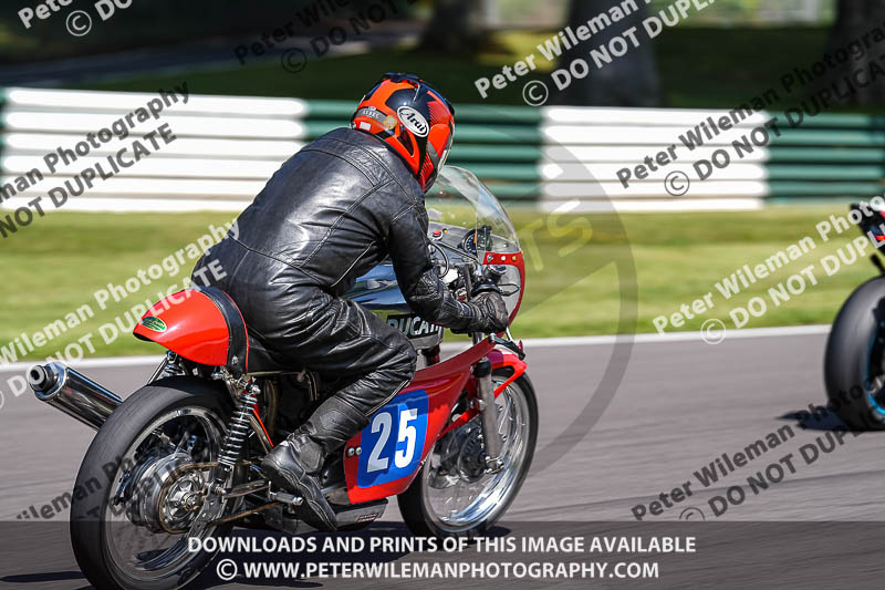 Vintage motorcycle club;eventdigitalimages;mallory park;mallory park trackday photographs;no limits trackdays;peter wileman photography;trackday digital images;trackday photos;vmcc festival 1000 bikes photographs